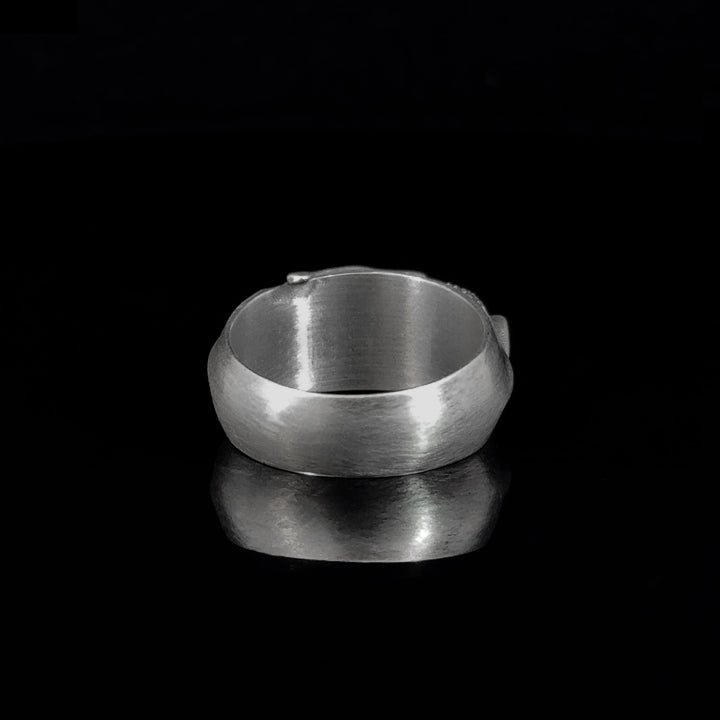 Silver ring on a black background